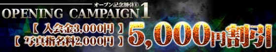 サービスオプション